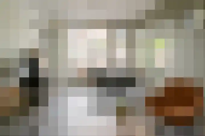 Bargeweg 2 Eefde thumbnail 19