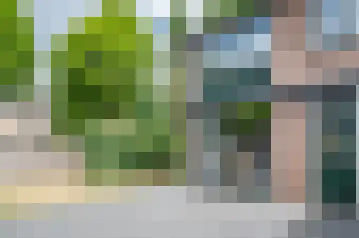 Bargeweg 2 Eefde thumbnail 7