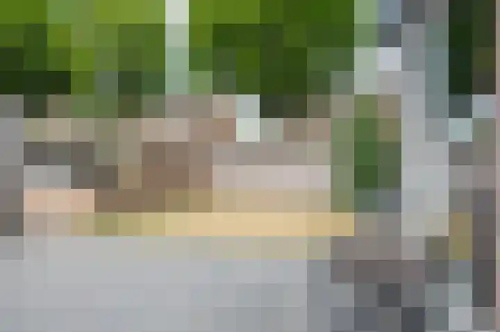 Bargeweg 2 Eefde thumbnail 8