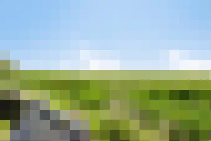 Bargweg 14 Emmer-Compascuum thumbnail 14