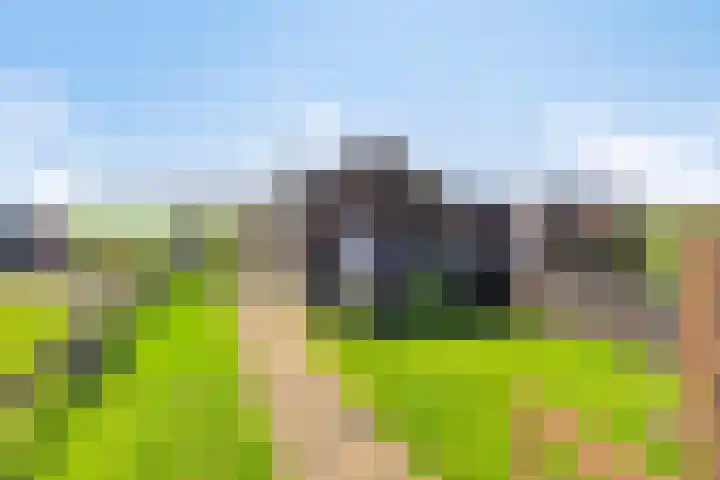 Bargweg 14 Emmer-Compascuum thumbnail 16