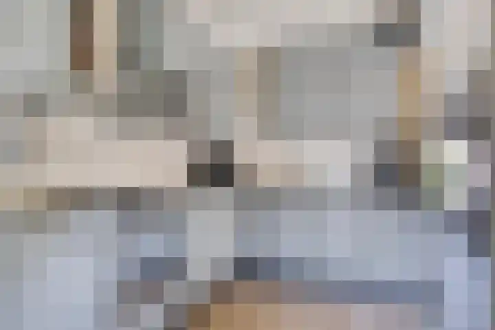 Bargweg 14 Emmer-Compascuum thumbnail 5