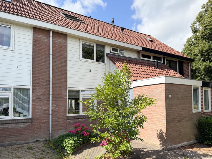 Bark 2 in Obdam foto