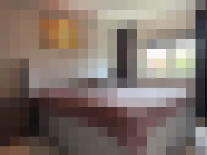Bark 2 Obdam thumbnail 10