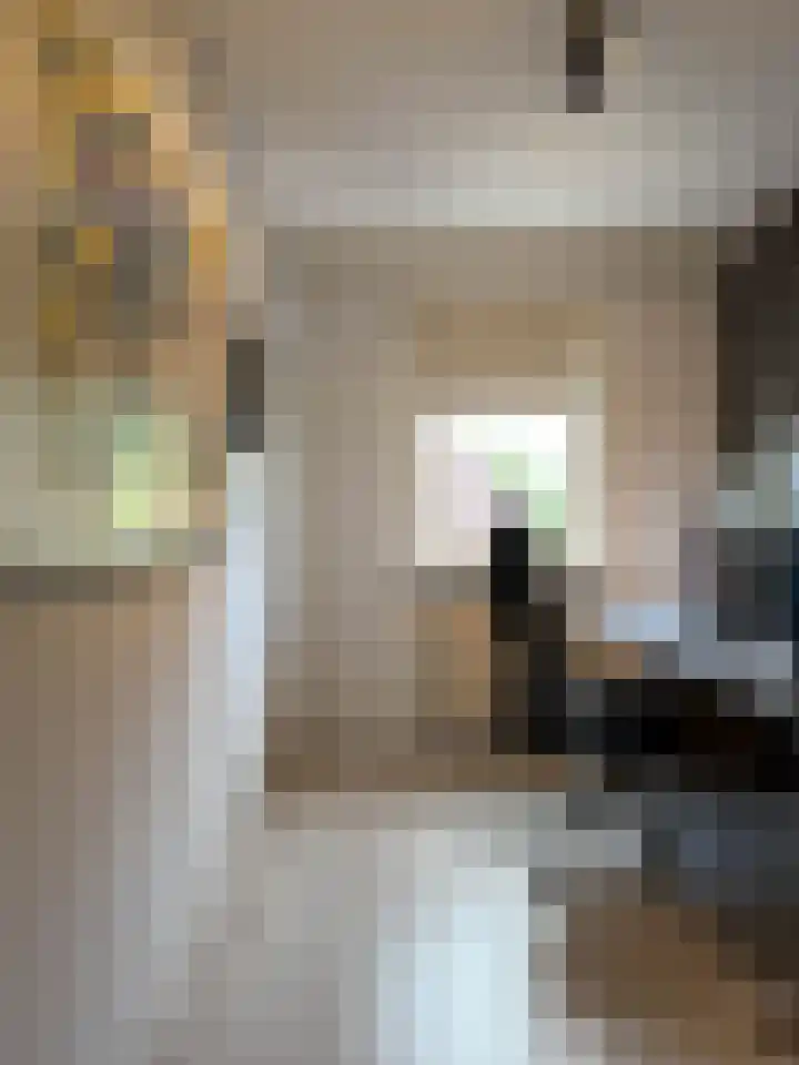 Bark 2 Obdam thumbnail 12