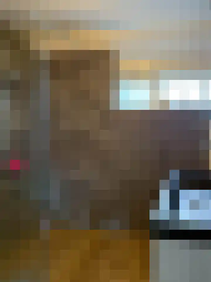 Bark 2 Obdam thumbnail 13