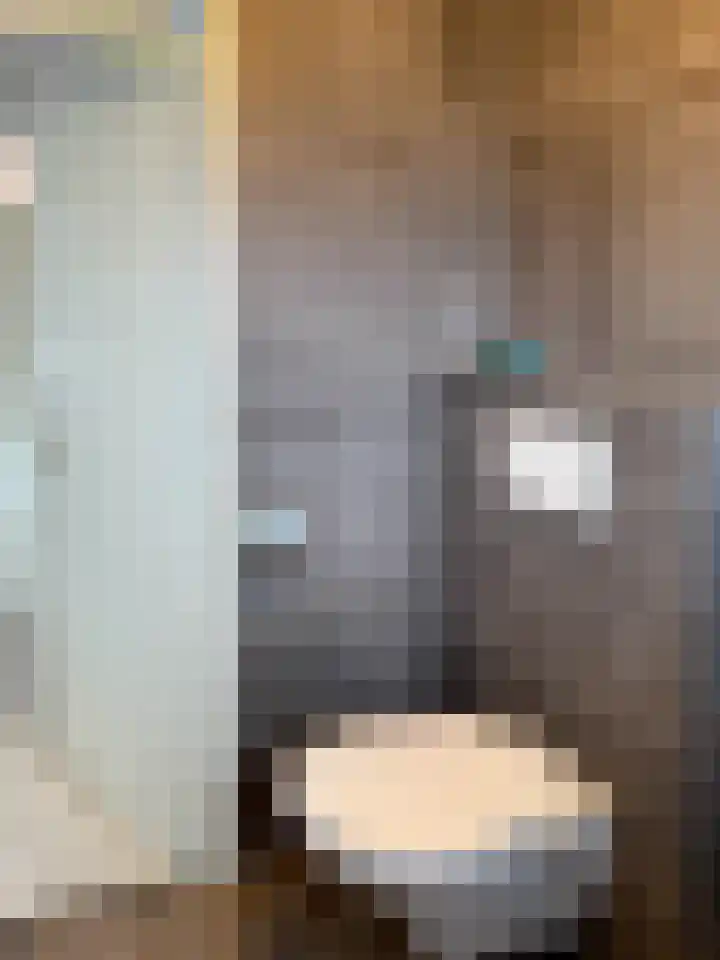 Bark 2 Obdam thumbnail 14