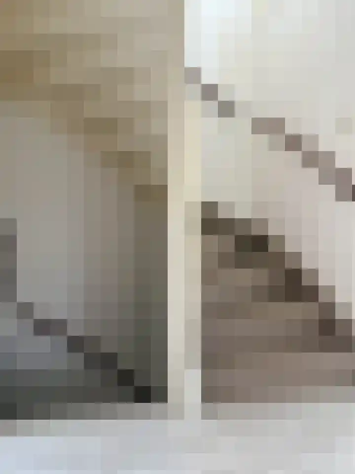 Bark 2 Obdam thumbnail 15