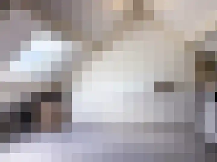 Bark 2 Obdam thumbnail 16