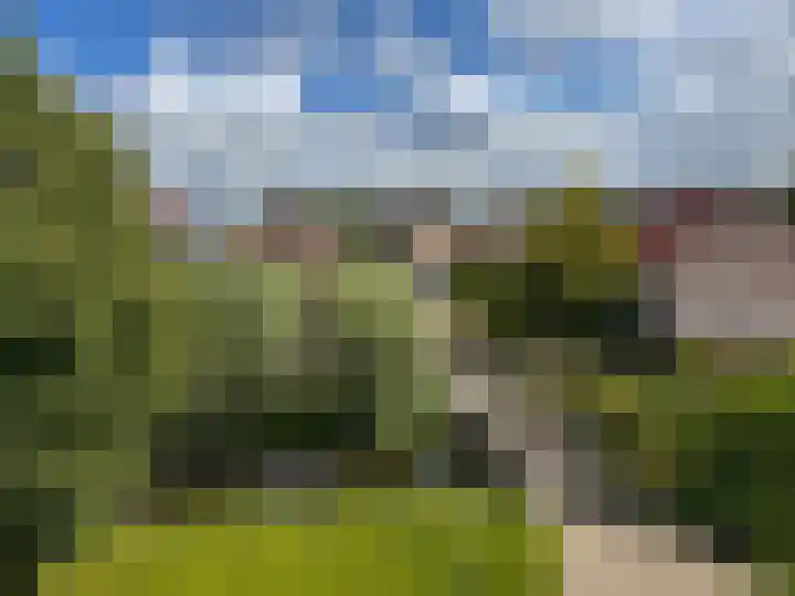Bark 2 Obdam thumbnail 17