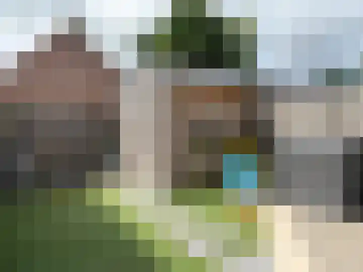 Bark 2 Obdam thumbnail 19