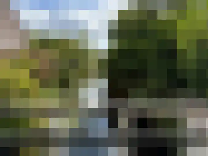 Bark 2 Obdam thumbnail 21
