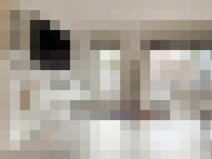 Bark 2 Obdam thumbnail 4