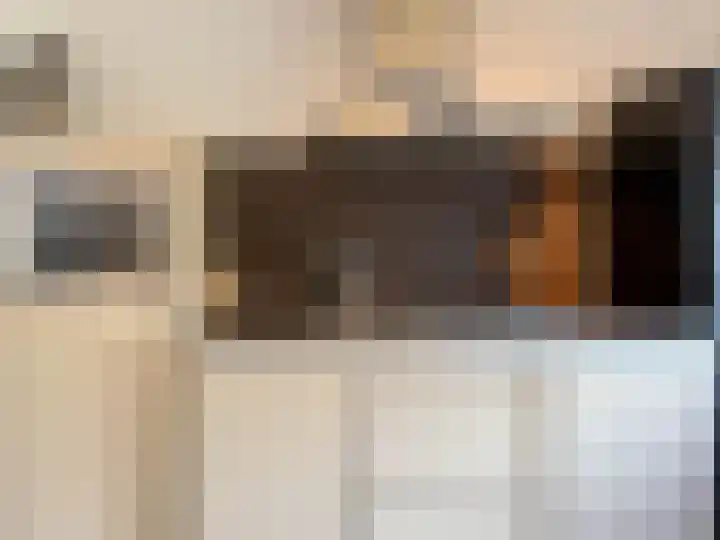 Bark 2 Obdam thumbnail 7