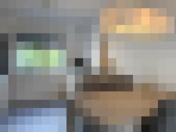Bark 2 Obdam thumbnail 8