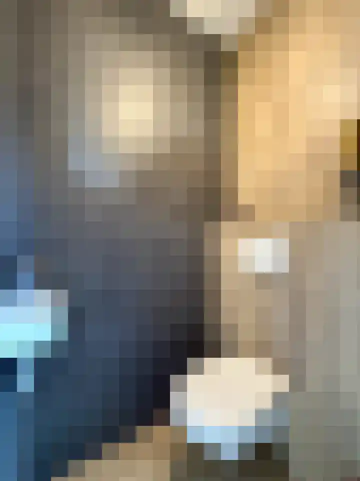 Bark 2 Obdam thumbnail 9