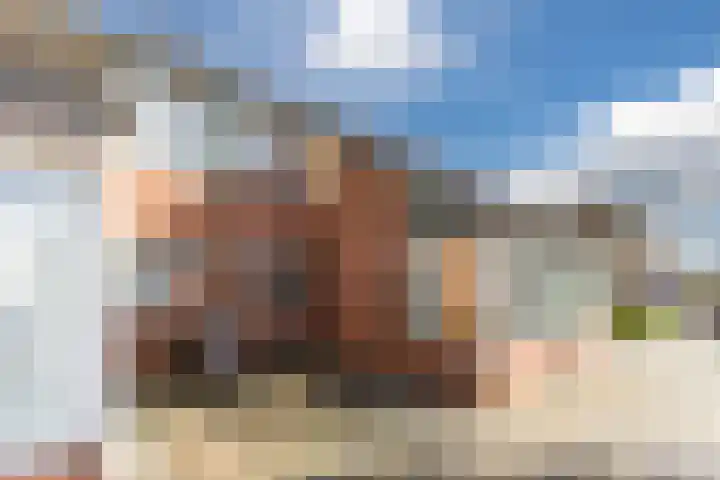 Bark 4 Schipluiden