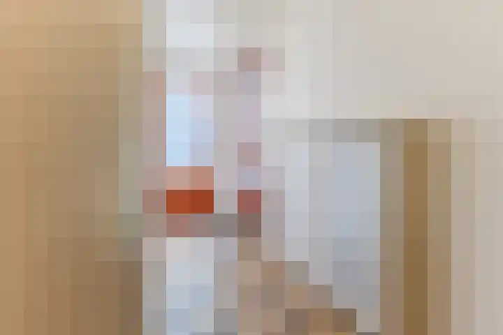 Bark 4 Schipluiden thumbnail 11
