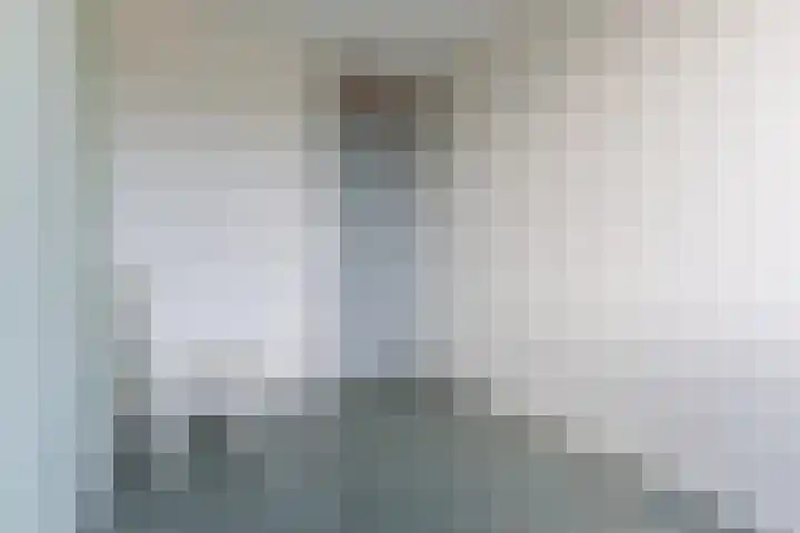 Bark 4 Schipluiden thumbnail 19