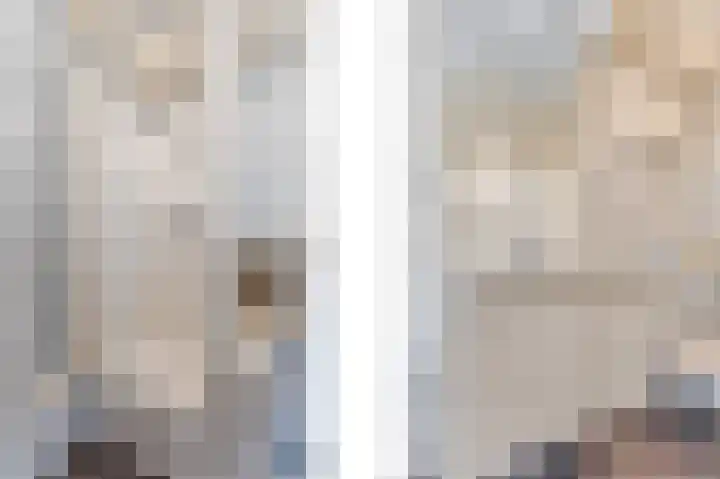Bark 4 Schipluiden thumbnail 20