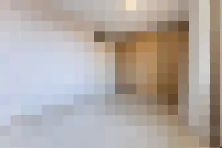 Bark 4 Schipluiden thumbnail 22