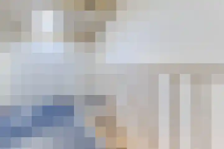 Bark 4 Schipluiden thumbnail 24