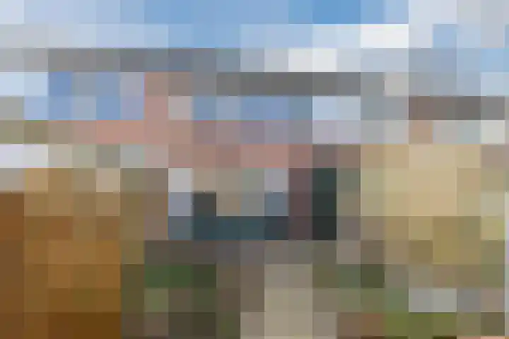 Bark 4 Schipluiden thumbnail 28