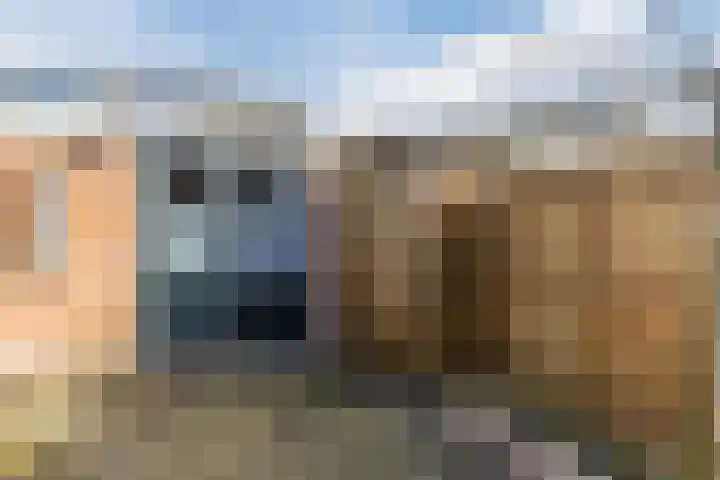 Bark 4 Schipluiden thumbnail 29