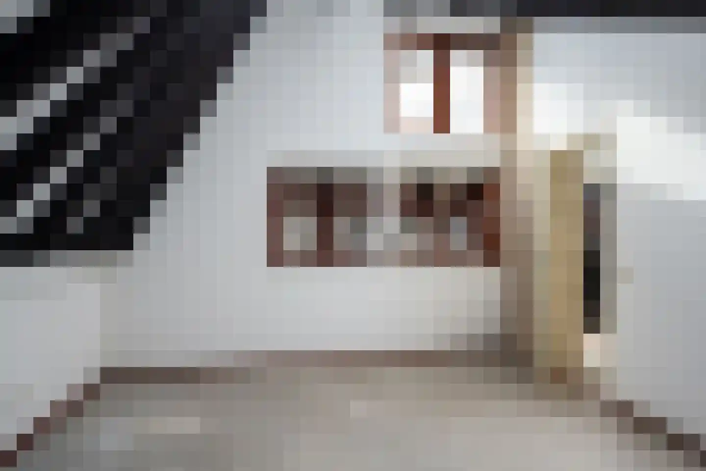 Bark 65 Barendrecht thumbnail 29