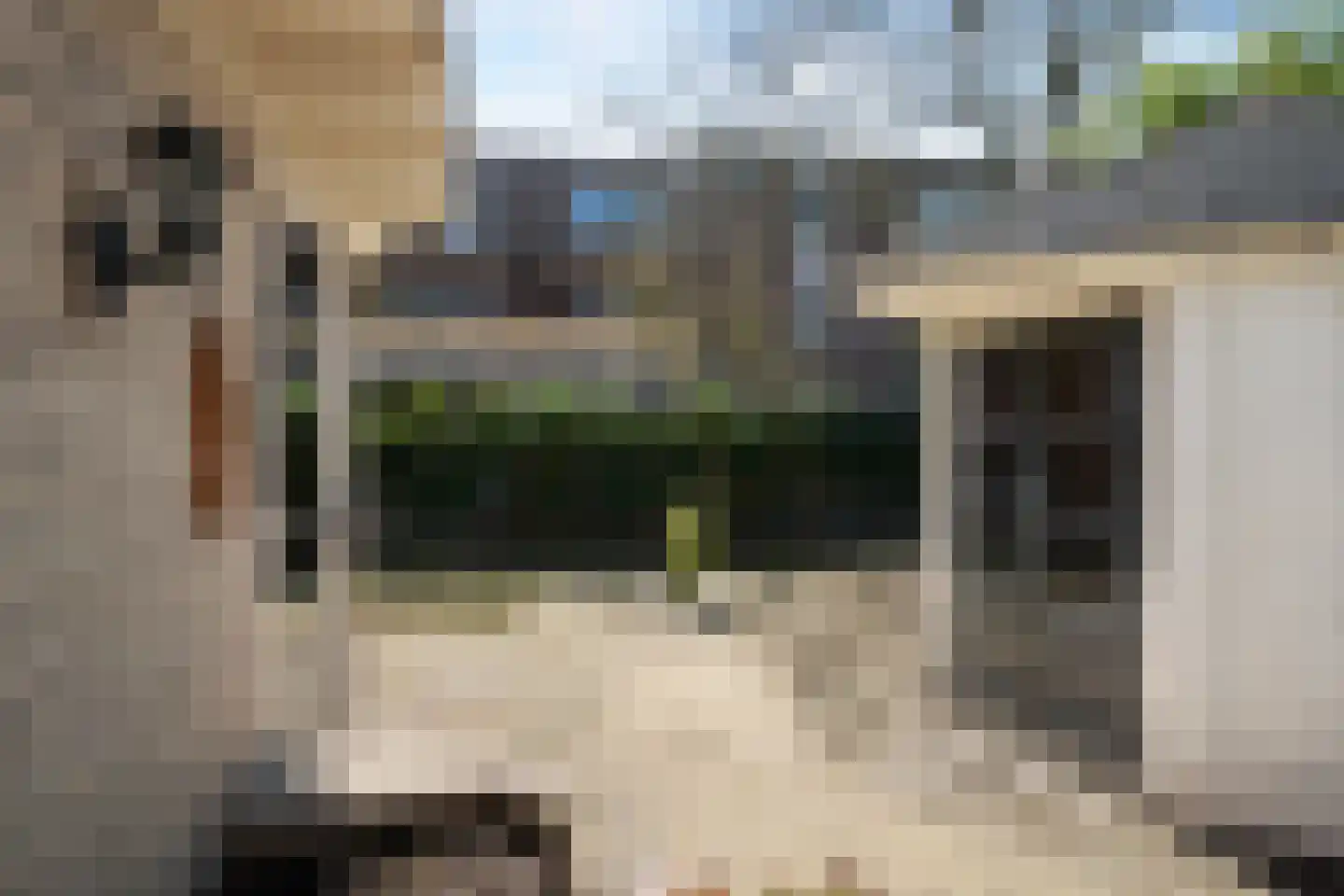 Bark 65 Barendrecht thumbnail 31