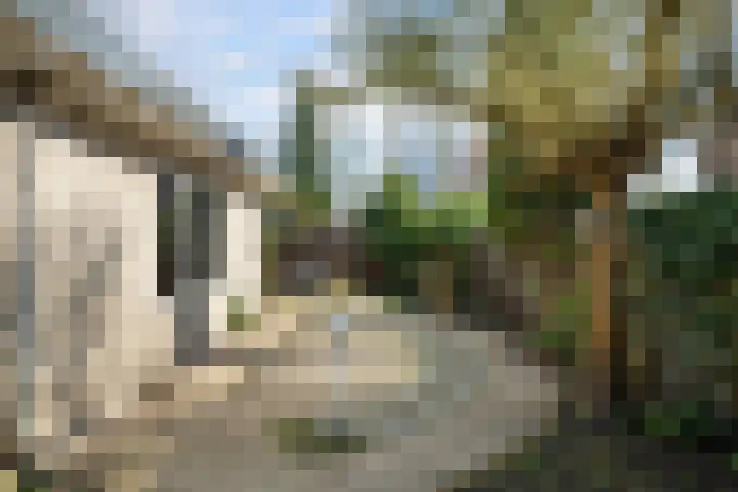 Bark 65 Barendrecht thumbnail 33