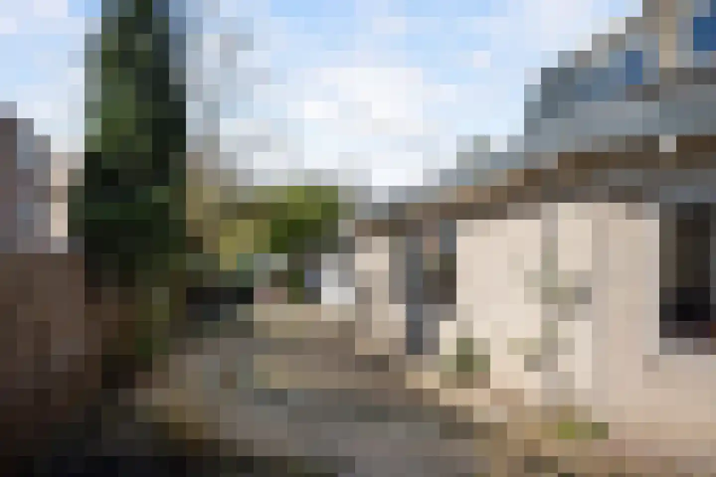 Bark 65 Barendrecht thumbnail 34