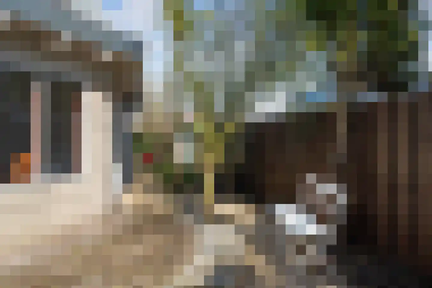 Bark 65 Barendrecht thumbnail 35