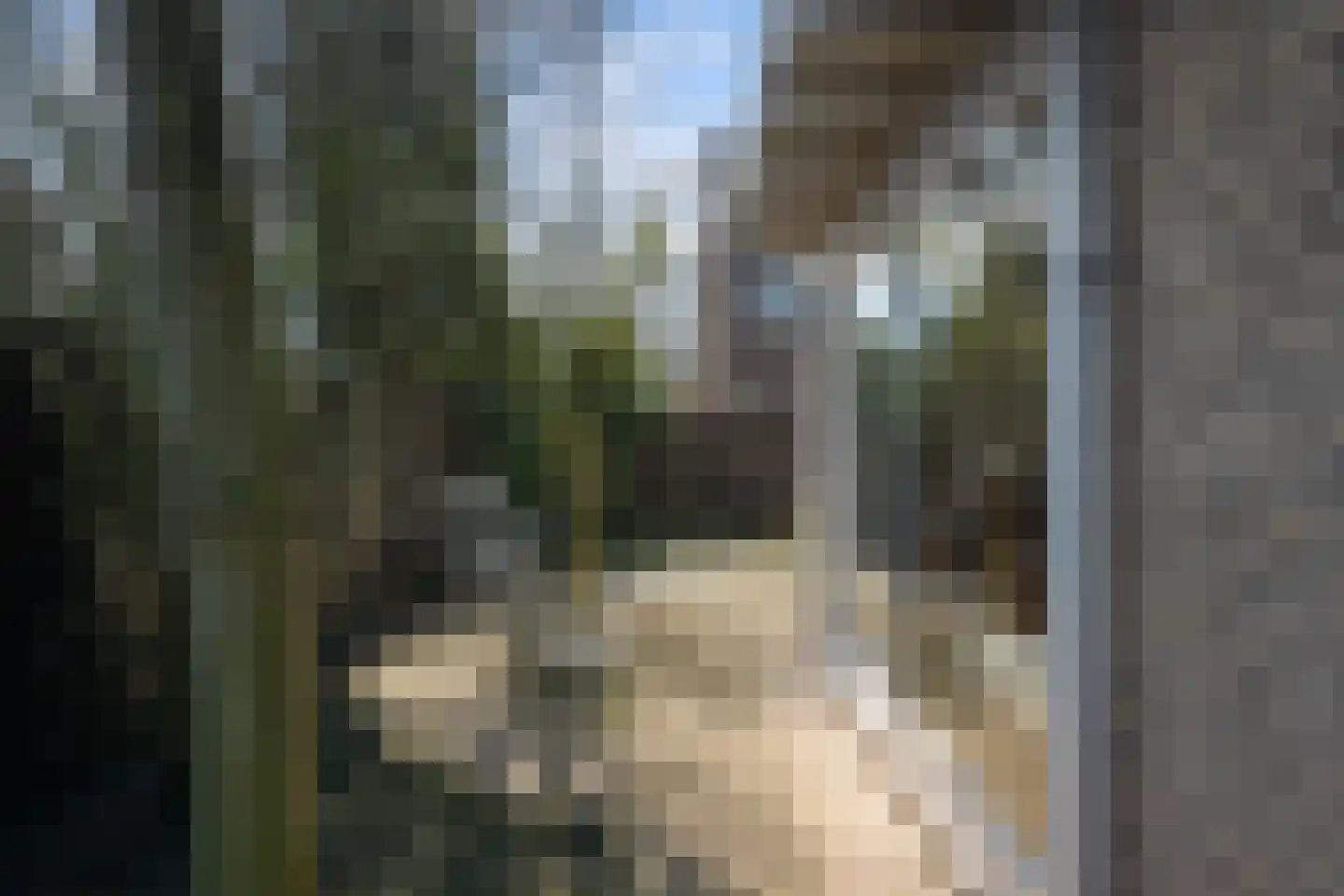 Bark 65 Barendrecht thumbnail 36