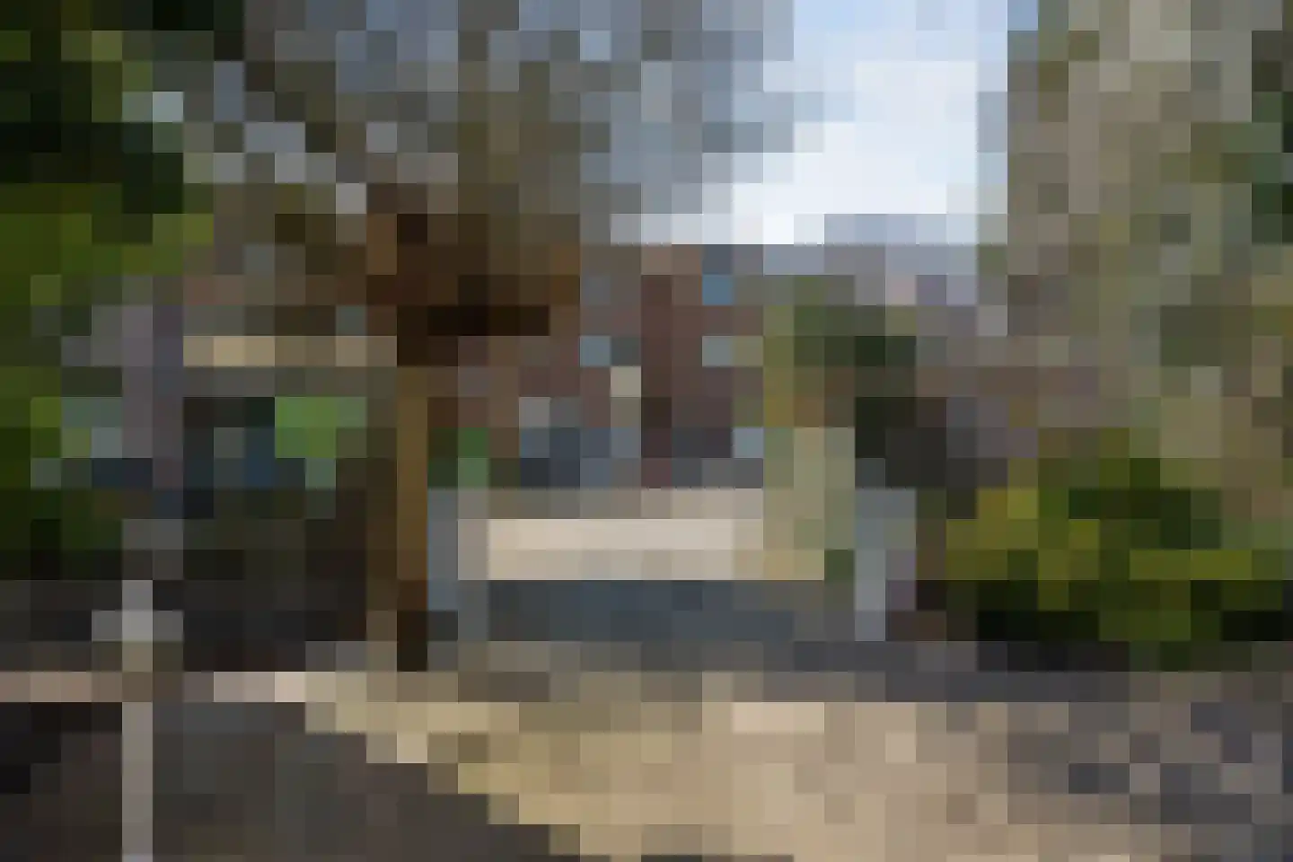 Bark 65 Barendrecht thumbnail 37