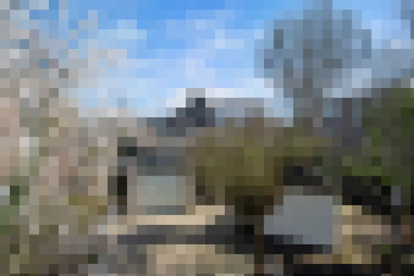 Bark 65 Barendrecht thumbnail 38