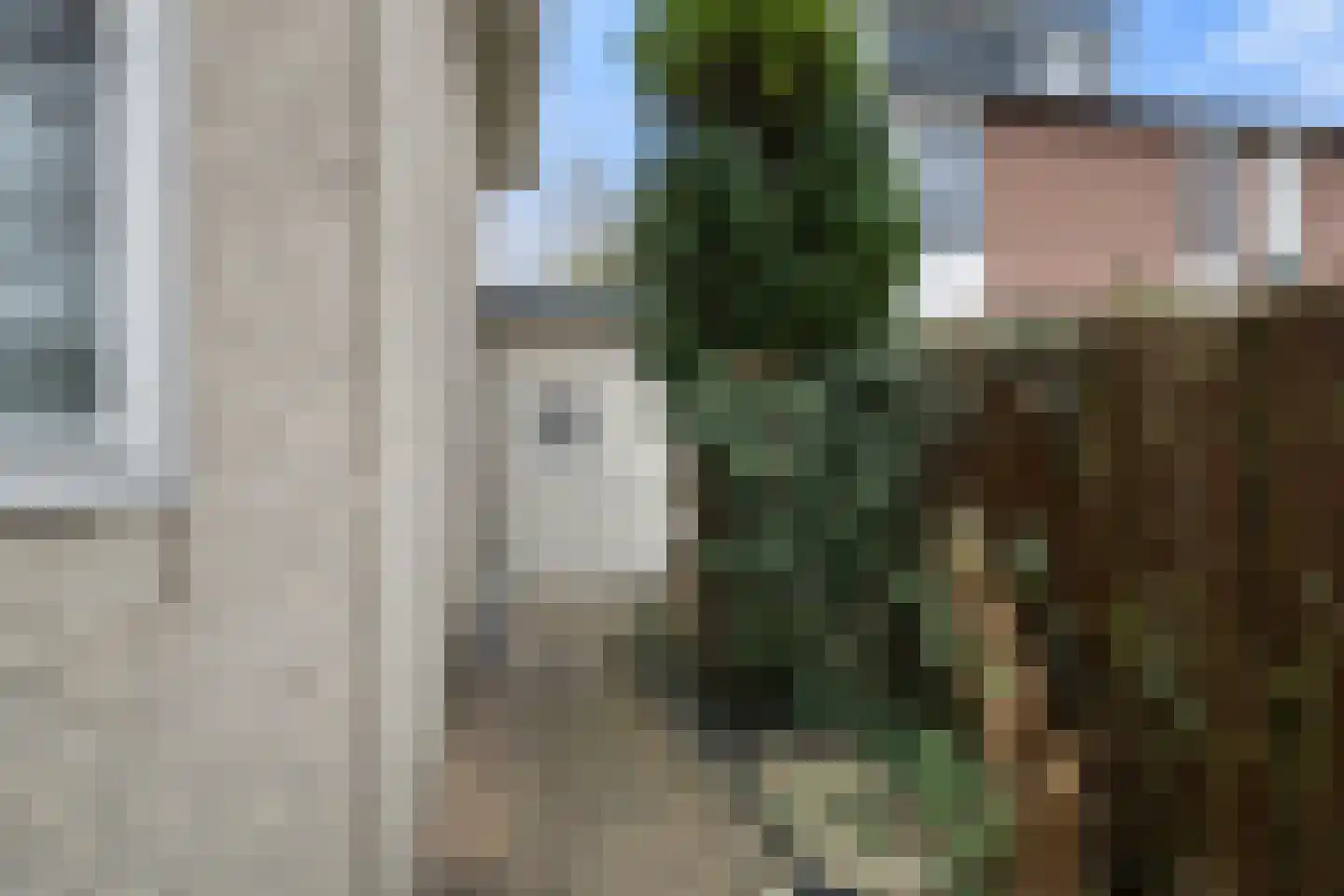 Bark 65 Barendrecht thumbnail 39