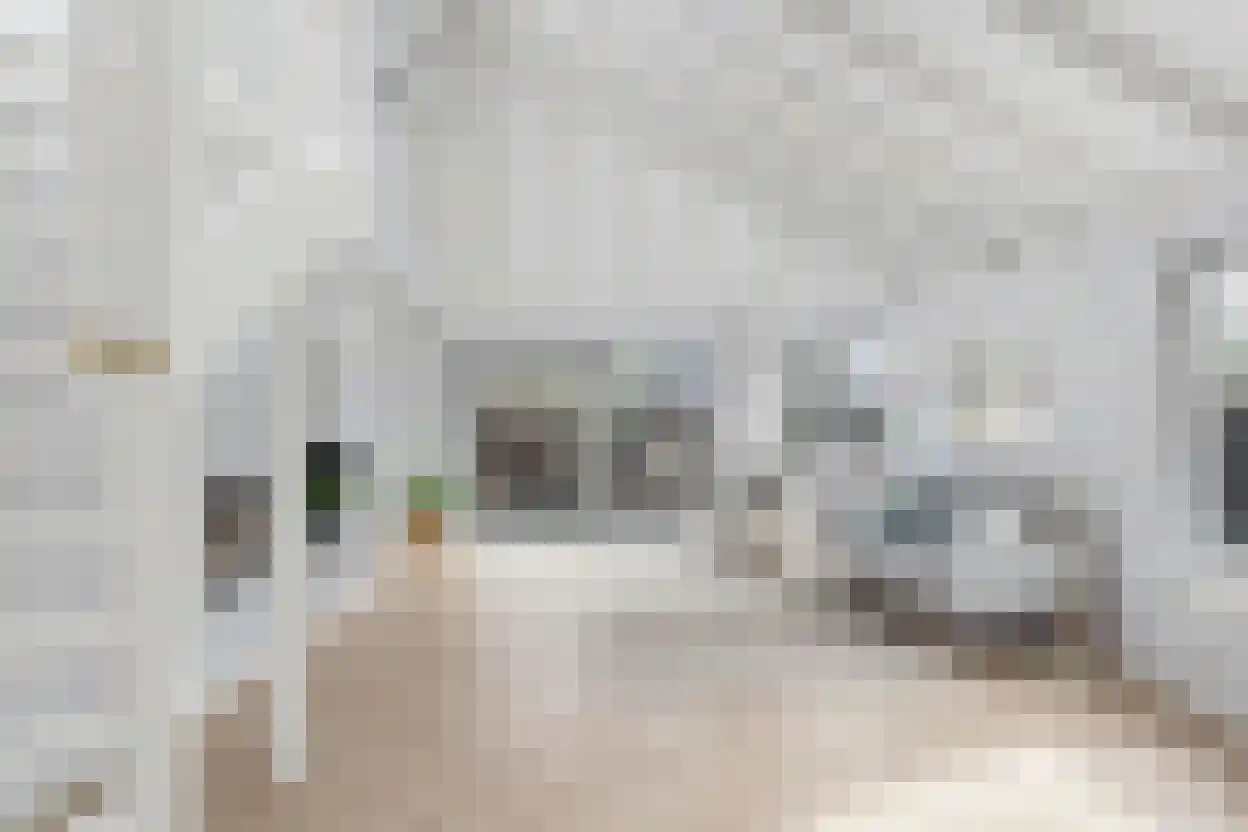 Bark 65 Barendrecht thumbnail 4