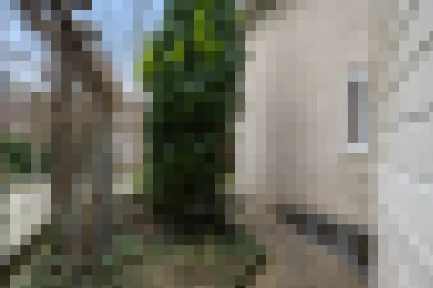 Bark 65 Barendrecht thumbnail 40