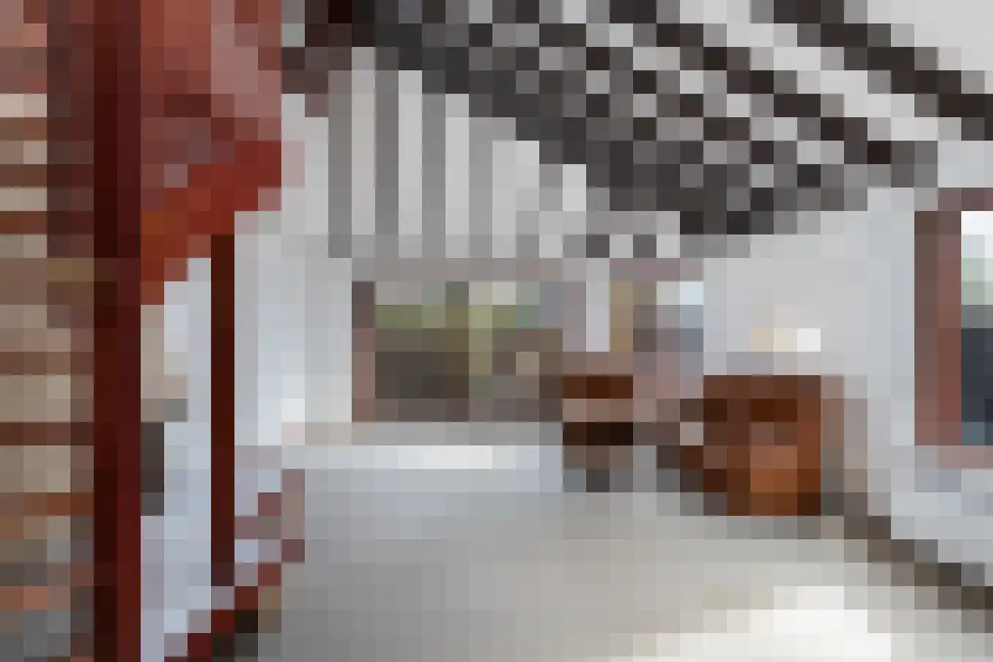 Bark 65 Barendrecht thumbnail 7