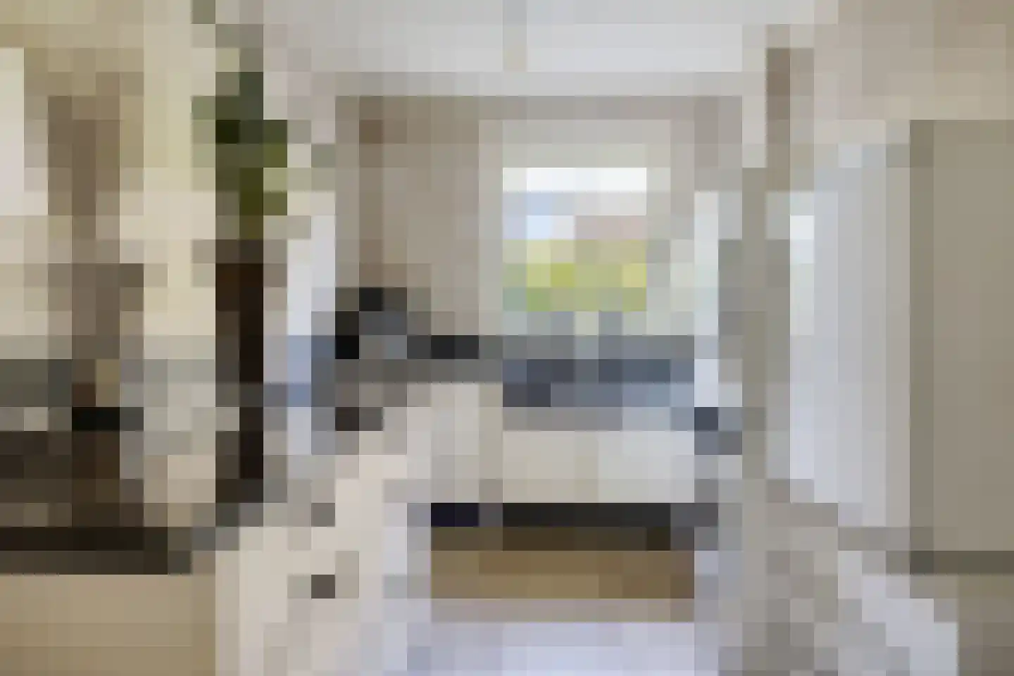 Bark 9 Nieuw-Amsterdam thumbnail 10