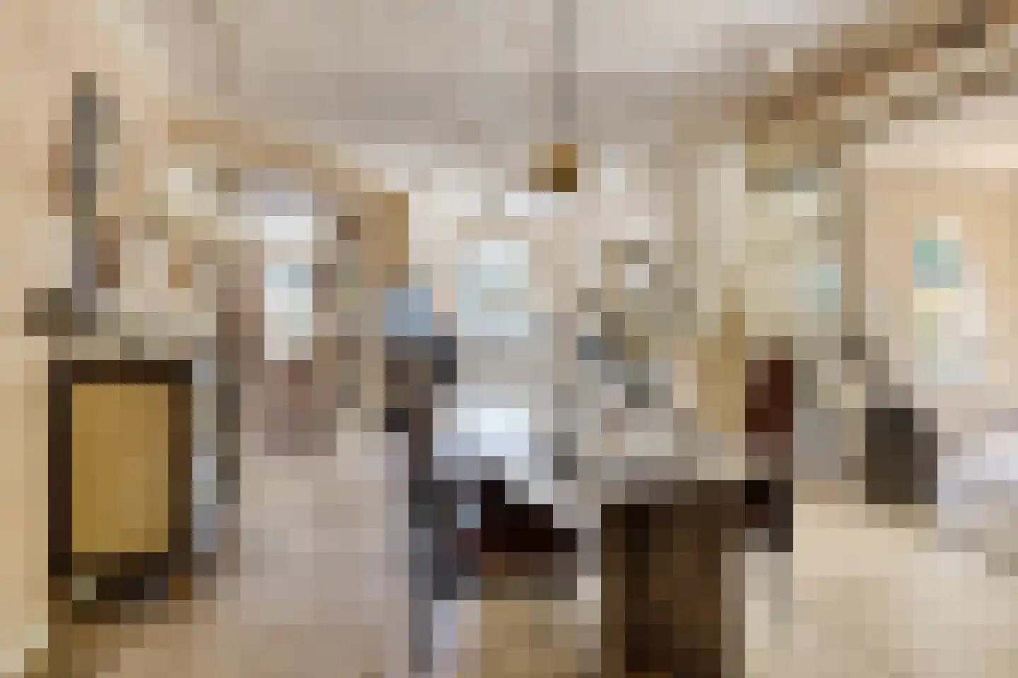 Bark 9 Nieuw-Amsterdam thumbnail 14