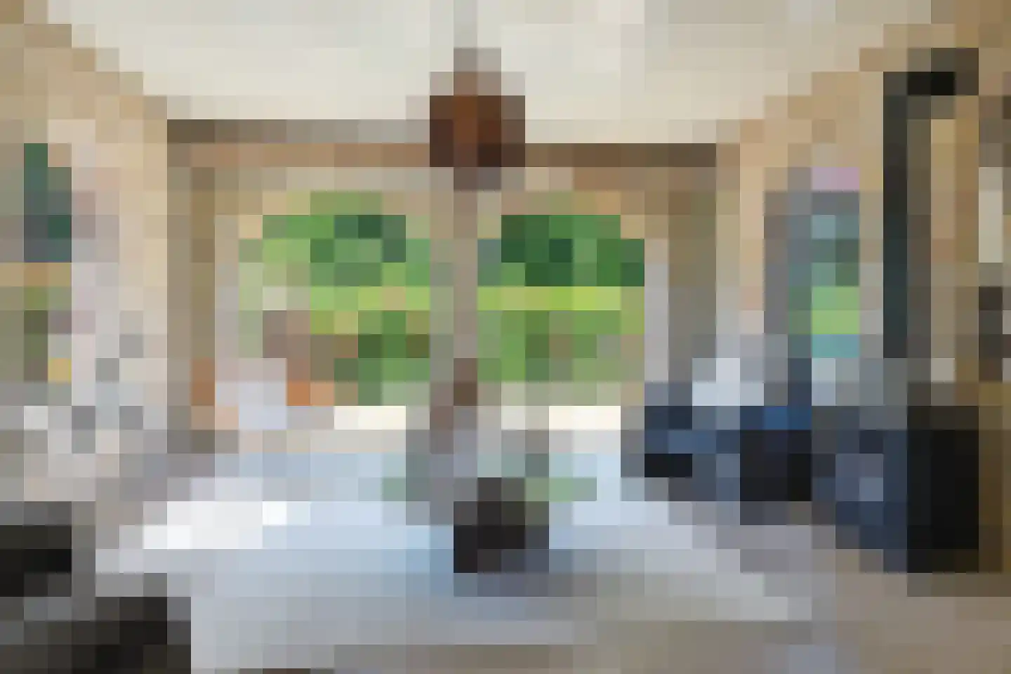 Bark 9 Nieuw-Amsterdam thumbnail 16