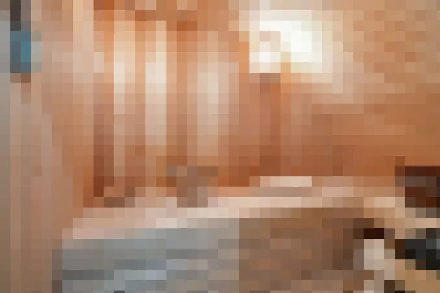 Bark 9 Nieuw-Amsterdam thumbnail 26