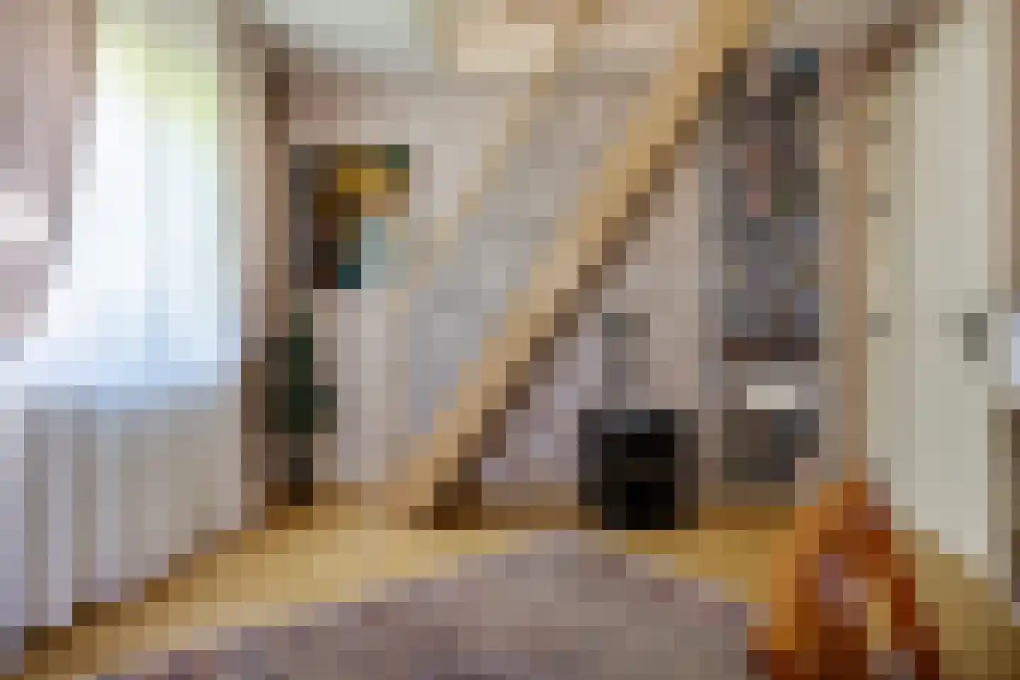 Bark 9 Nieuw-Amsterdam thumbnail 31