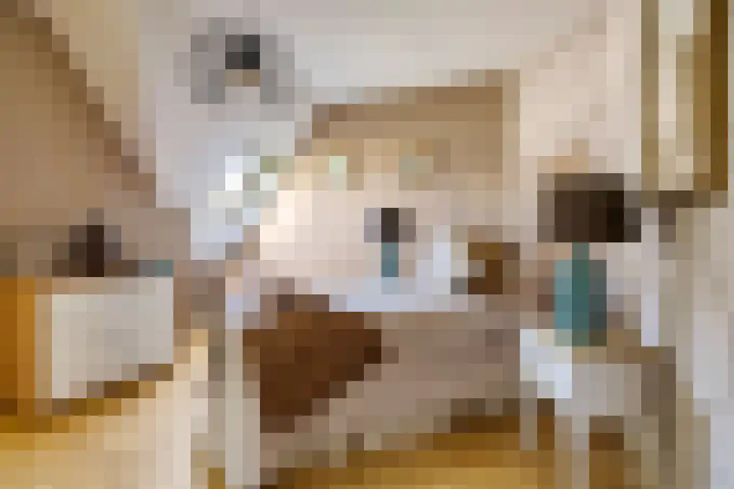 Bark 9 Nieuw-Amsterdam thumbnail 32