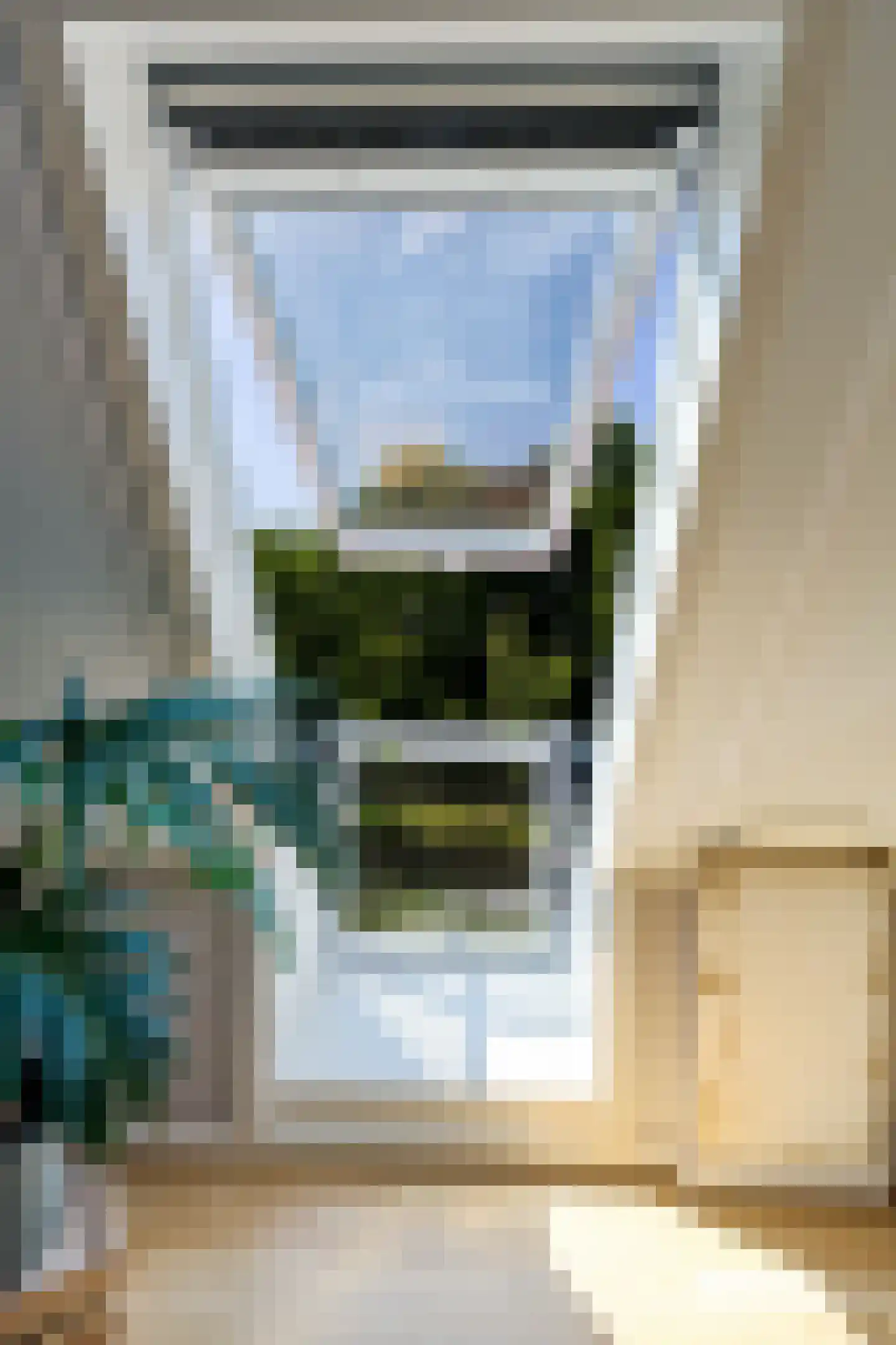 Bark 9 Nieuw-Amsterdam thumbnail 35