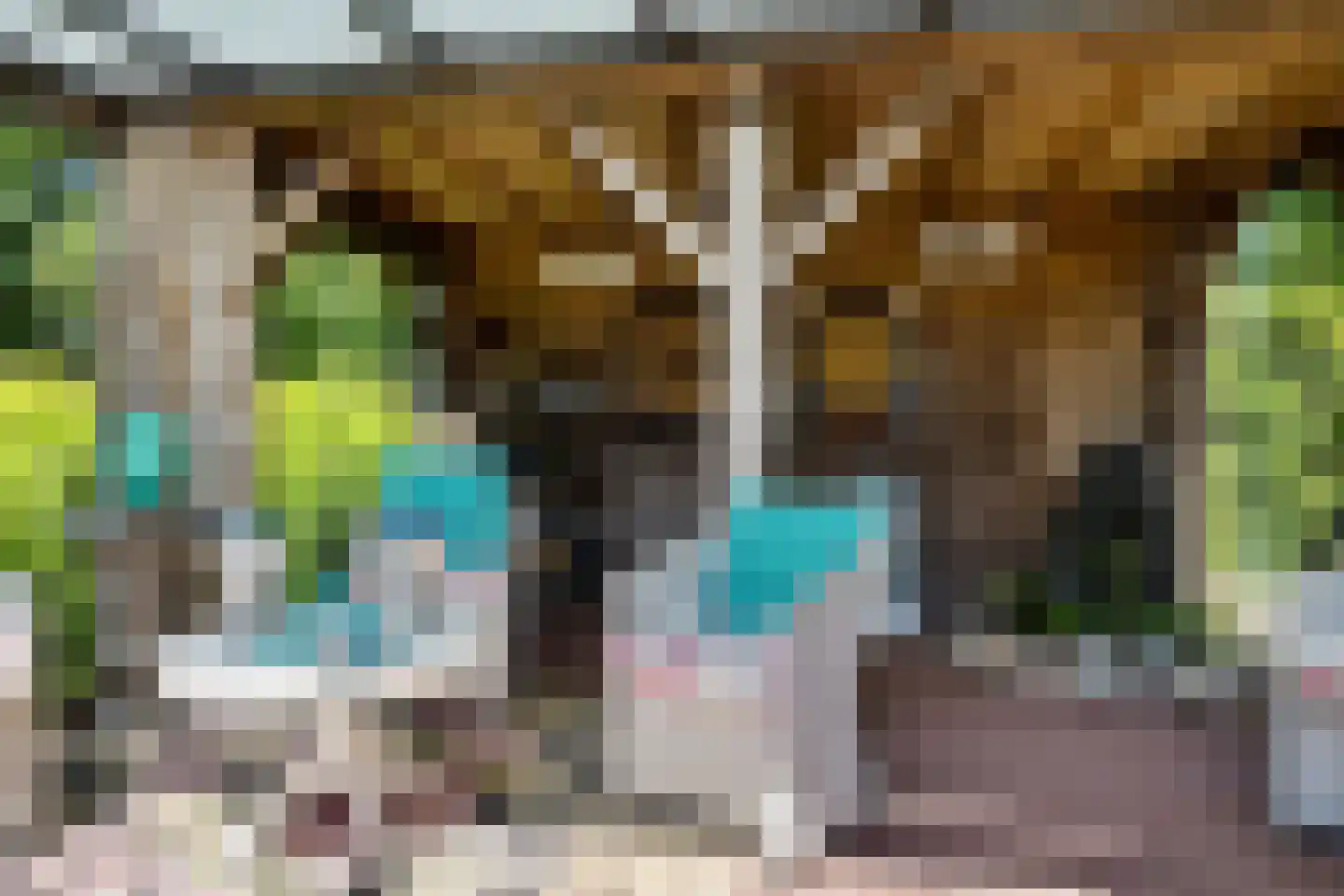 Bark 9 Nieuw-Amsterdam thumbnail 37