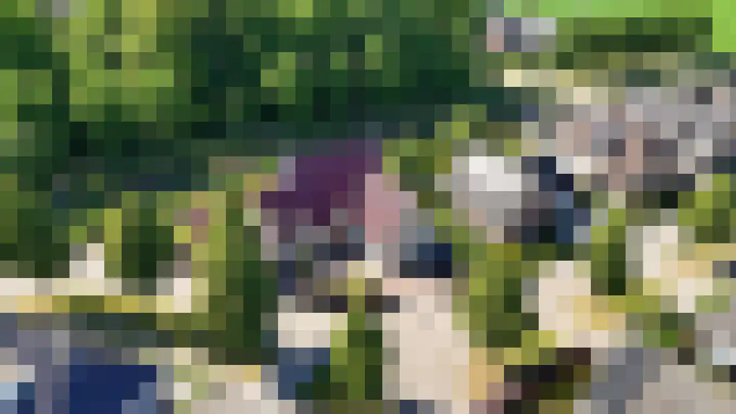 Bark 9 Nieuw-Amsterdam thumbnail 43