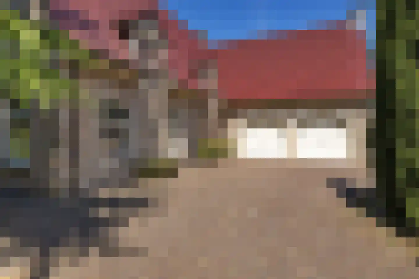 Bark 9 Nieuw-Amsterdam thumbnail 6